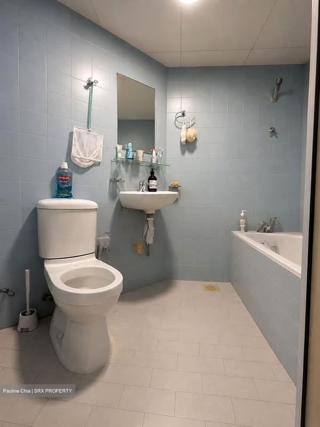 Ivory Heights (D22), Condominium #557933671